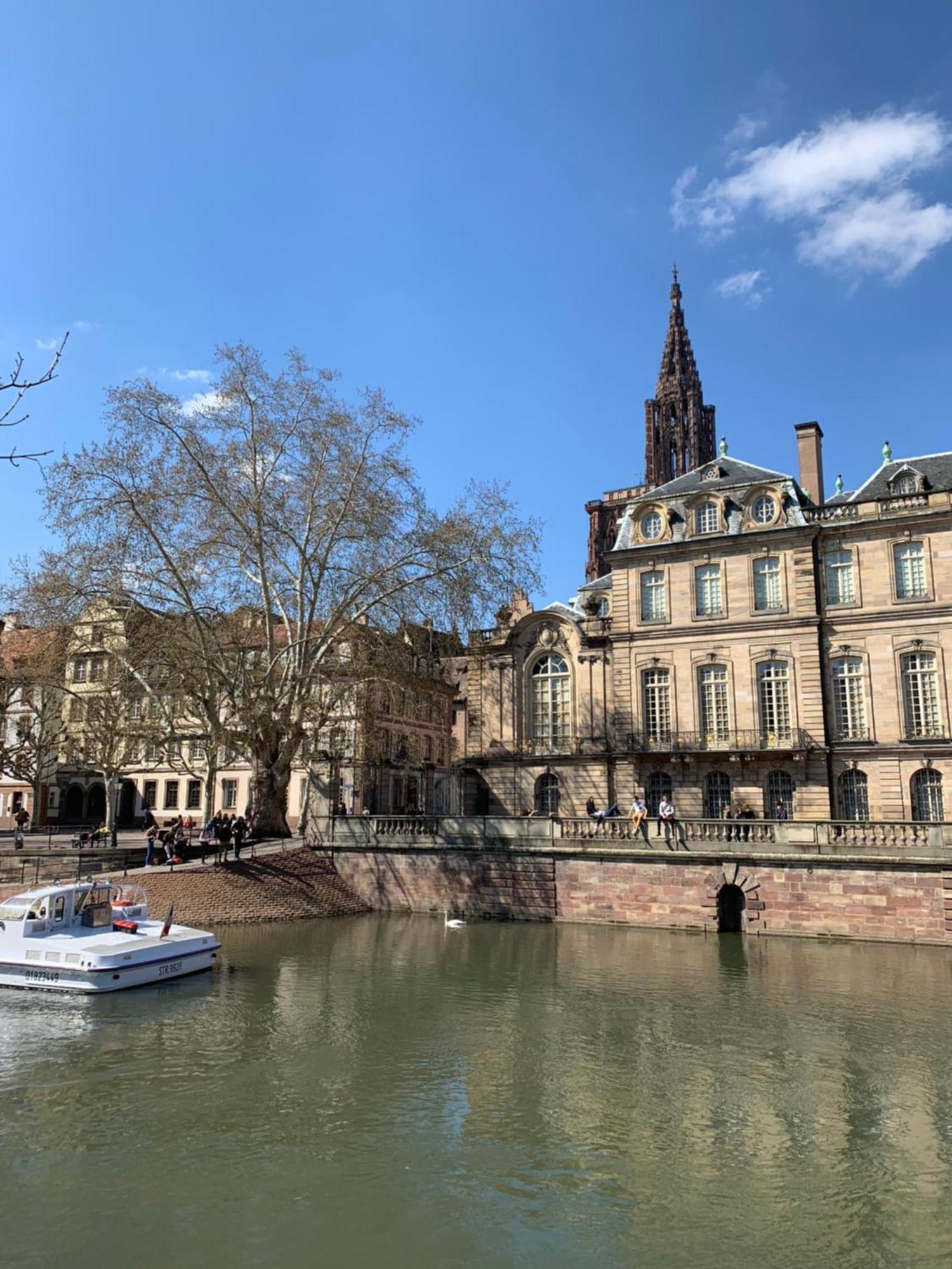 Appartement Charming With Jacuzzi Centre Gare Strasbourg